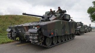 Szwajcarska armia Pz Bat 29