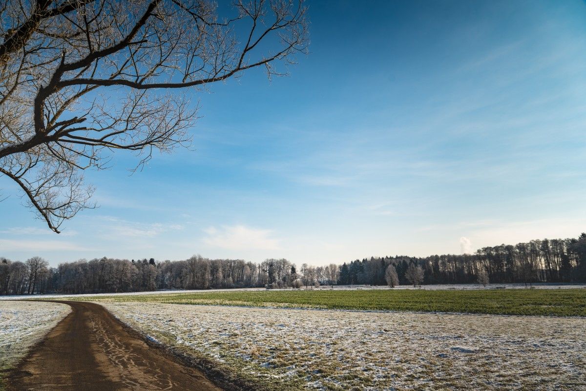 15 dobowy rekord temperatury w tym roku. Czas zmienić myślenie o klimacie Polski