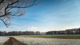 wiejska droga przez oszronione pola w ciągu dnia, pola są zielone, na drzewach pierwsze pączki