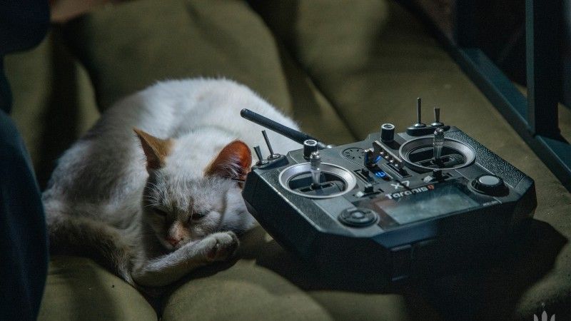 Biały kot leżący na wojskowym fotelu obok kontrolera drona.