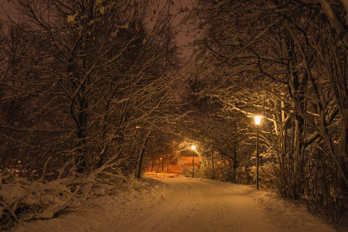 W warmińsko-mazurskim bez prądu przez cały czas 2,5 tys. odbiorców