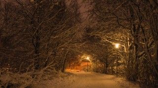 Lampy uliczne i ścieżka między drzewami pokryta śniegiem.