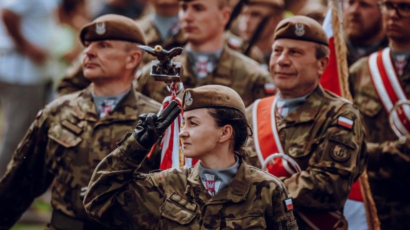 dwot, terytorialsi, wojska obrony terytorialnej