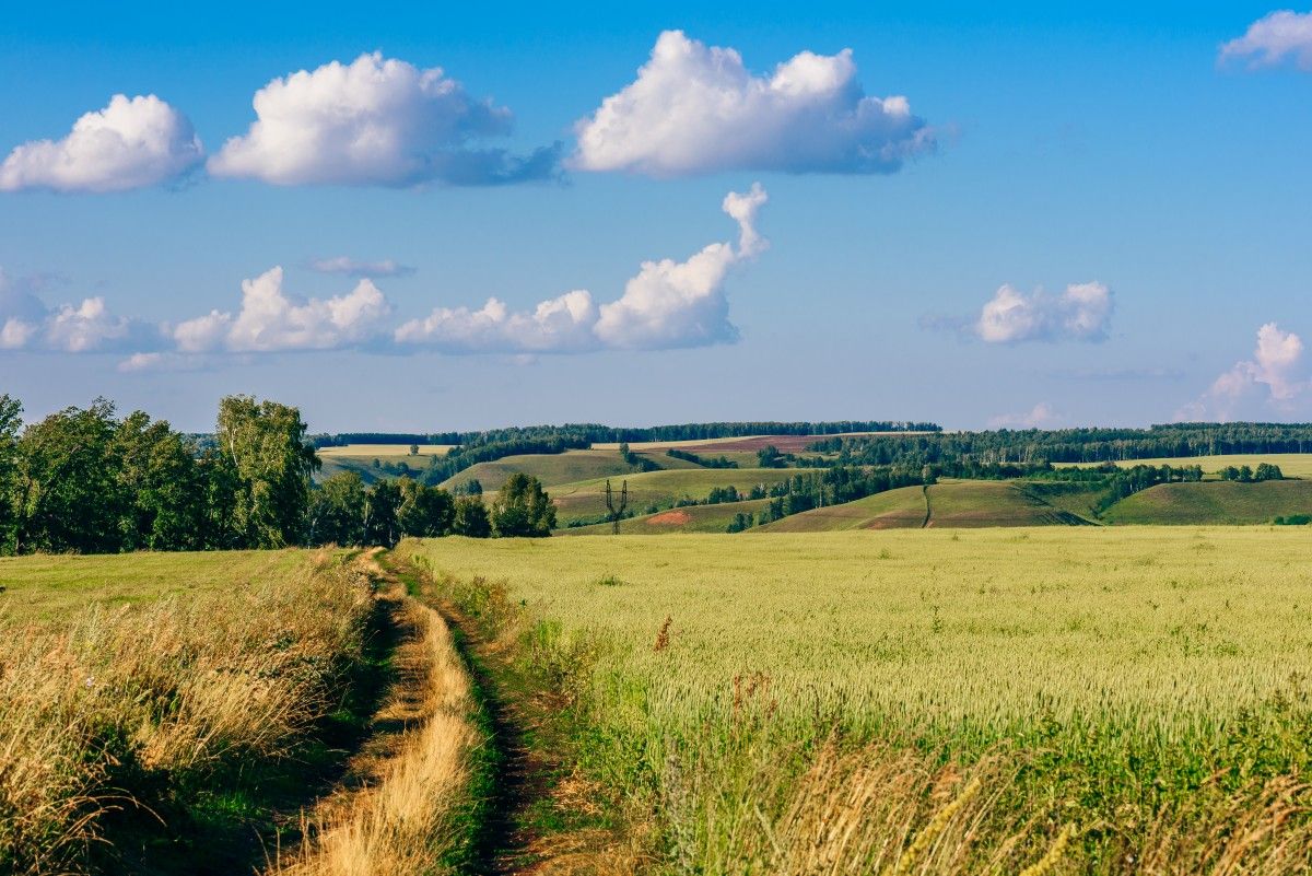 Co zyska Polska na umowie UE-Mercosur?
