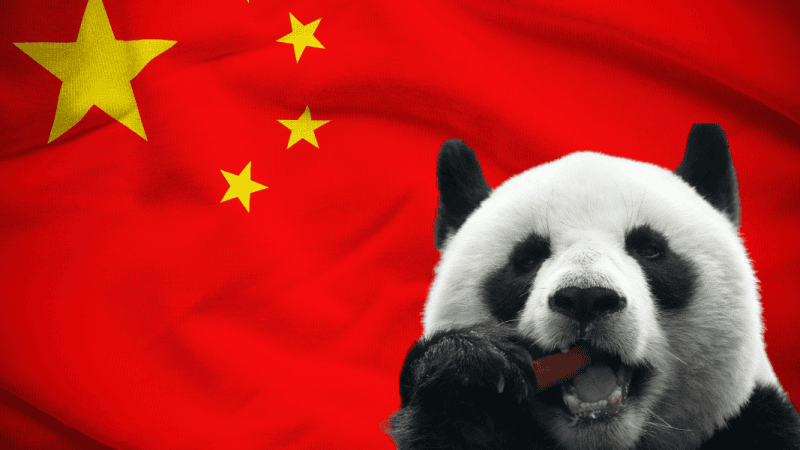 Grupa APT Mustang Panda przeprowadza precyzyjne ataki wykorzystując personalizowane malware.