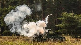 Bluszcz, stekop, minowanie narzutowe