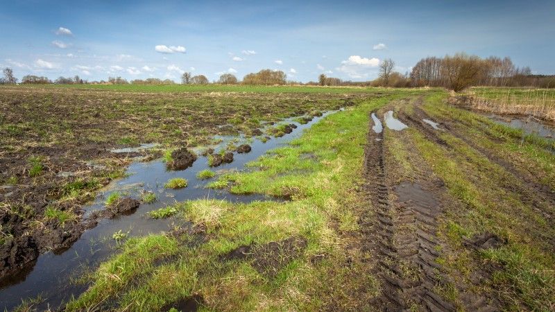 rozjeżdżone traktorem podmokłe pole