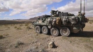 Amerykański kołowy transporter opancerzony M1126 Stryker na ćwiczeniach w bazie Fort Irwin w Kalifornii.