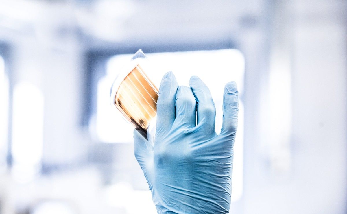 Columbus reaguje na patofilmy z mediów Malinkiewicz. Jest zwolnienie