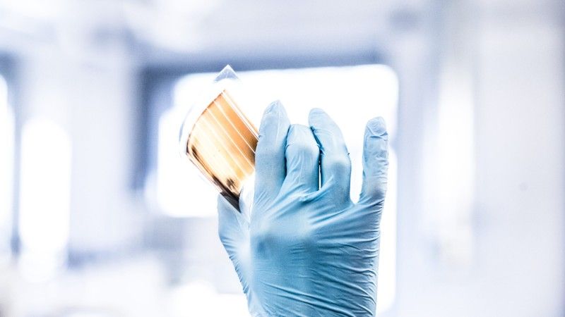 Moduł perowskitowy Saule.