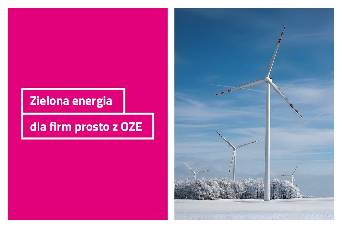 Zielona energia wprost ze źródła. Tauron ma nowe rozwiązania dla firm