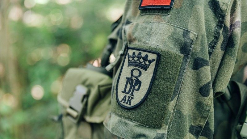 8. Dywizja Piechoty AK