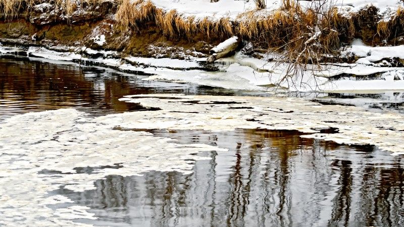 na wpół zamarznięty strumień w lesie
