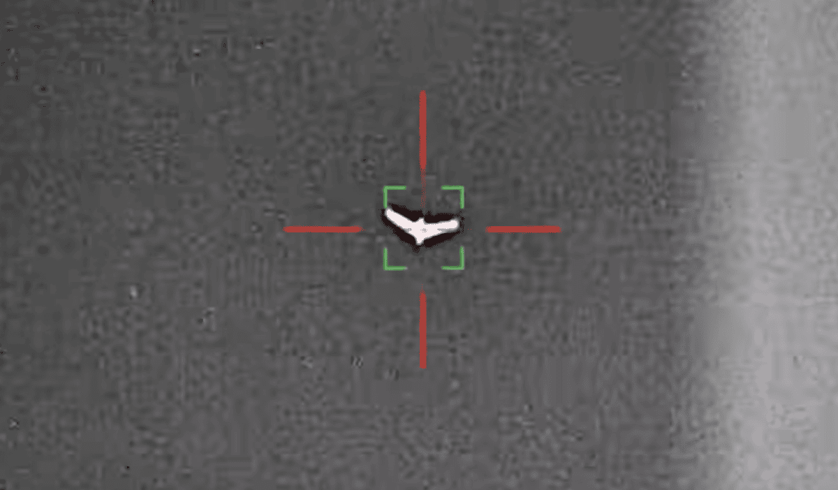 Spadają jak muchy. Test systemu antydronowego