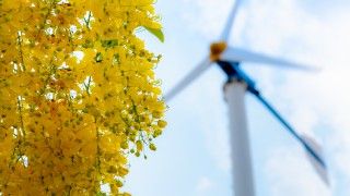 Turbina wiatrowa, widok od dołu, a obok źółty krzaczek.