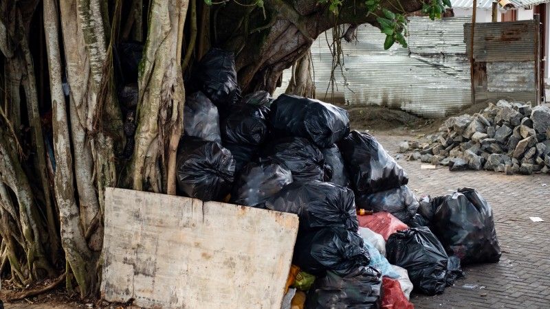 Czarne worki wypełnione śmieciami, porzucone pod starym drzewem.