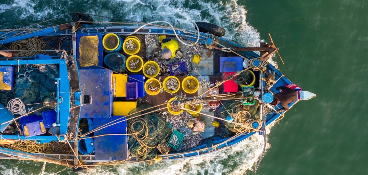 Finansowanie wojny w Ukrainie przez Rosję. Jak nie z ropy i gazu to… z rybołówstwa