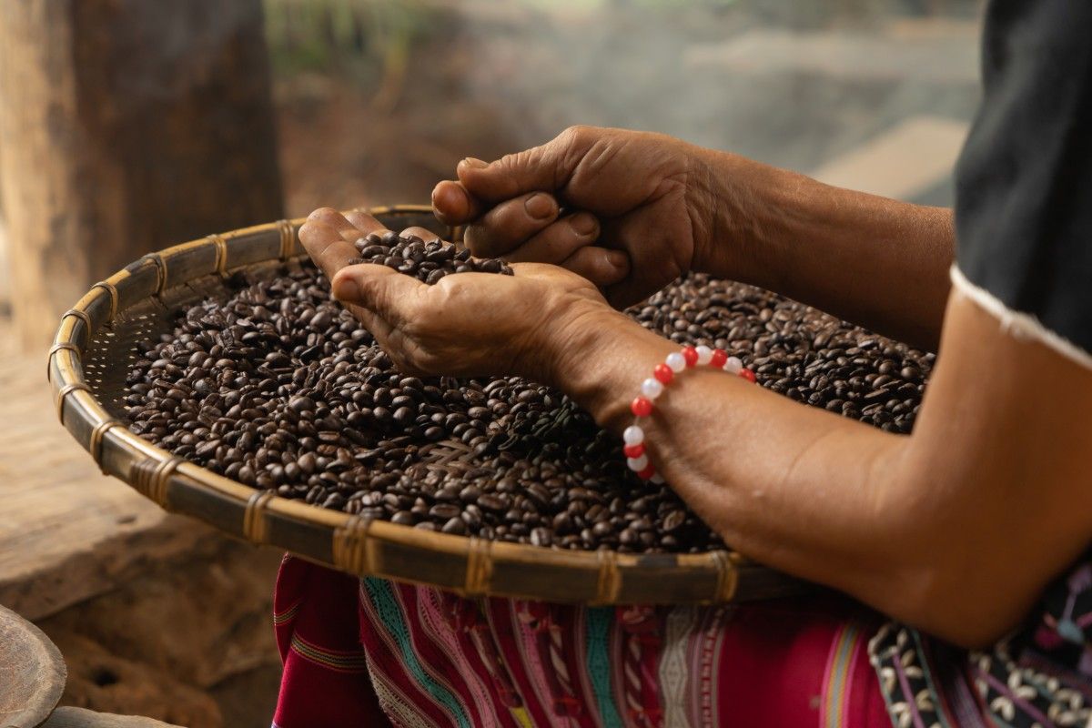 Wyższe temperatury to droższa kawa. Jak zmiana klimatu wpływa na uprawy?