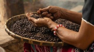 kobieta w tradycyjnym stroju z Ameryki Południowej trzyma kosz z ziarnami kawy, nie widać twarzy, tylko spódnicę i ręce