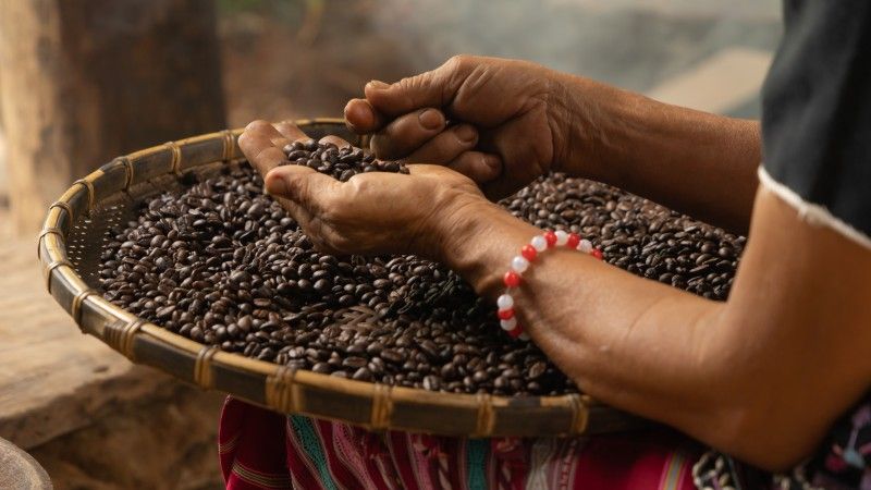 kobieta w tradycyjnym stroju z Ameryki Południowej trzyma kosz z ziarnami kawy, nie widać twarzy, tylko spódnicę i ręce