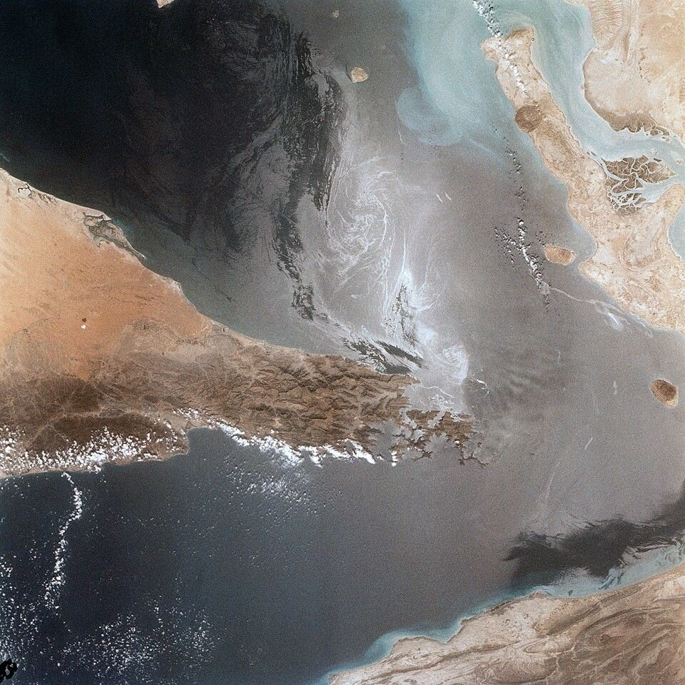 Coalition without the US. 30 countries want to unblock the Strait of Hormuz