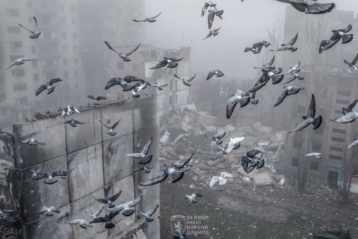 Kupyansk cleared of Russians. The end of the well madness