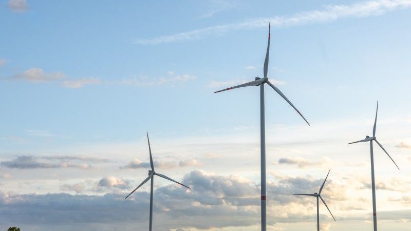 4 trubiny wiatrowe na lądzie
