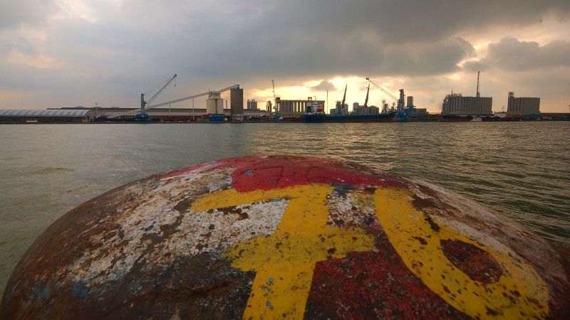 Widok na Port Antwerpia.