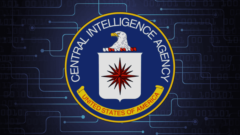 "Zmiana ta zwiększa możliwości CIA w zakresie dostarczania decydentom najlepszych informacji wywiadowczych na temat zagranicznych zagrożeń cybernetycznych" - Liz Lyons