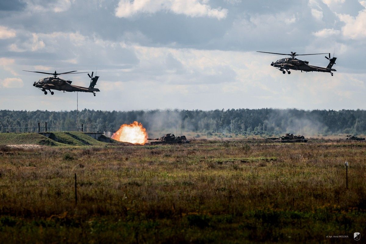 Readiness is not passivity. 2. The Polish Corps is increasing  in strength