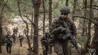 Kurs Agrykola