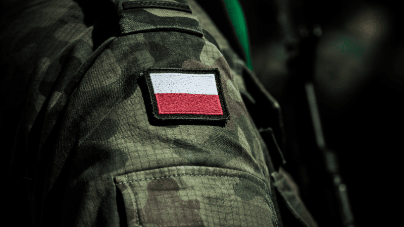 Wojsko Polskie Defence24 DAYS