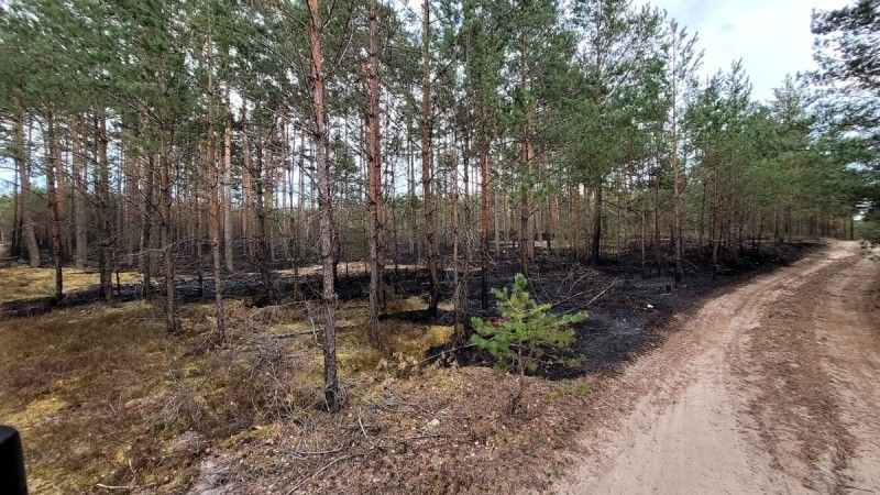 pożar lasu wywołany przez druha OSP