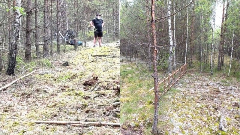 Zatrzymany Polak przy granicy polsko-białoruskiej