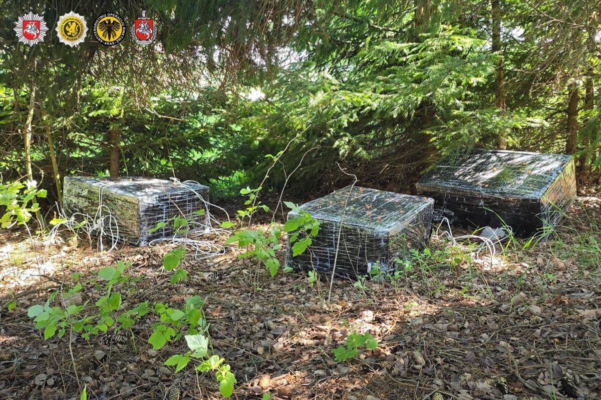 Balony z białoruską kontrabandą. Wśród zatrzymanych policjanci i strażnicy graniczni