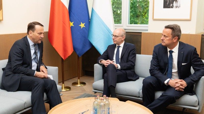 Sikorski, satelity, Polska, Europa, polityka