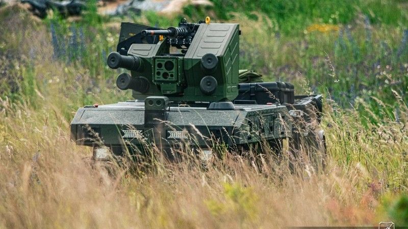Goblin Dzielny Dzik-26