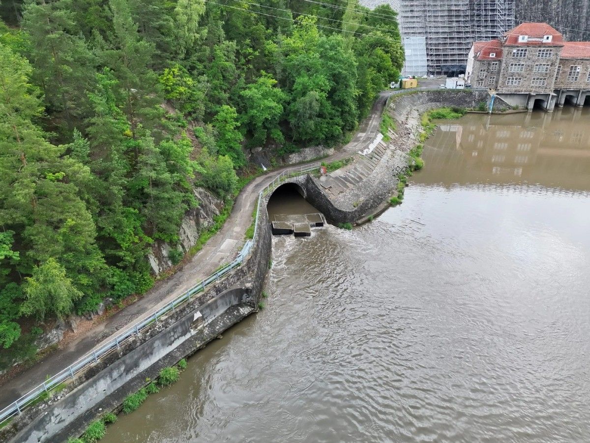 15 ton śniętych ryb w Pilchowicach. Tauron wyjaśnia przyczyny katastrofy