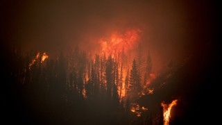 close-up-of-mountain-wild-fire-2026-03-10-01-09-11-utc