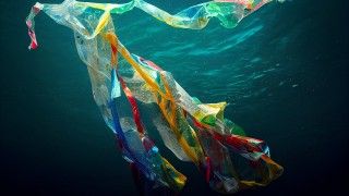 the-plastic-bags-floating-in-the-ocean-2026-03-24-08-04-00-utc