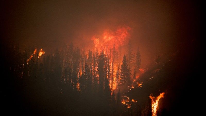 close-up-of-mountain-wild-fire-2026-03-10-01-09-11-utc