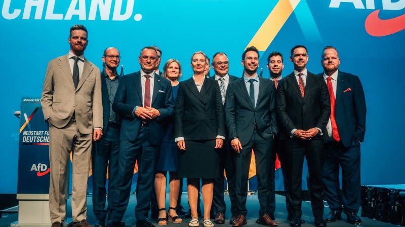 afd alternatywa dla niemiec