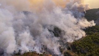 big-forest-fire-2026-03-13-05-55-27-utc
