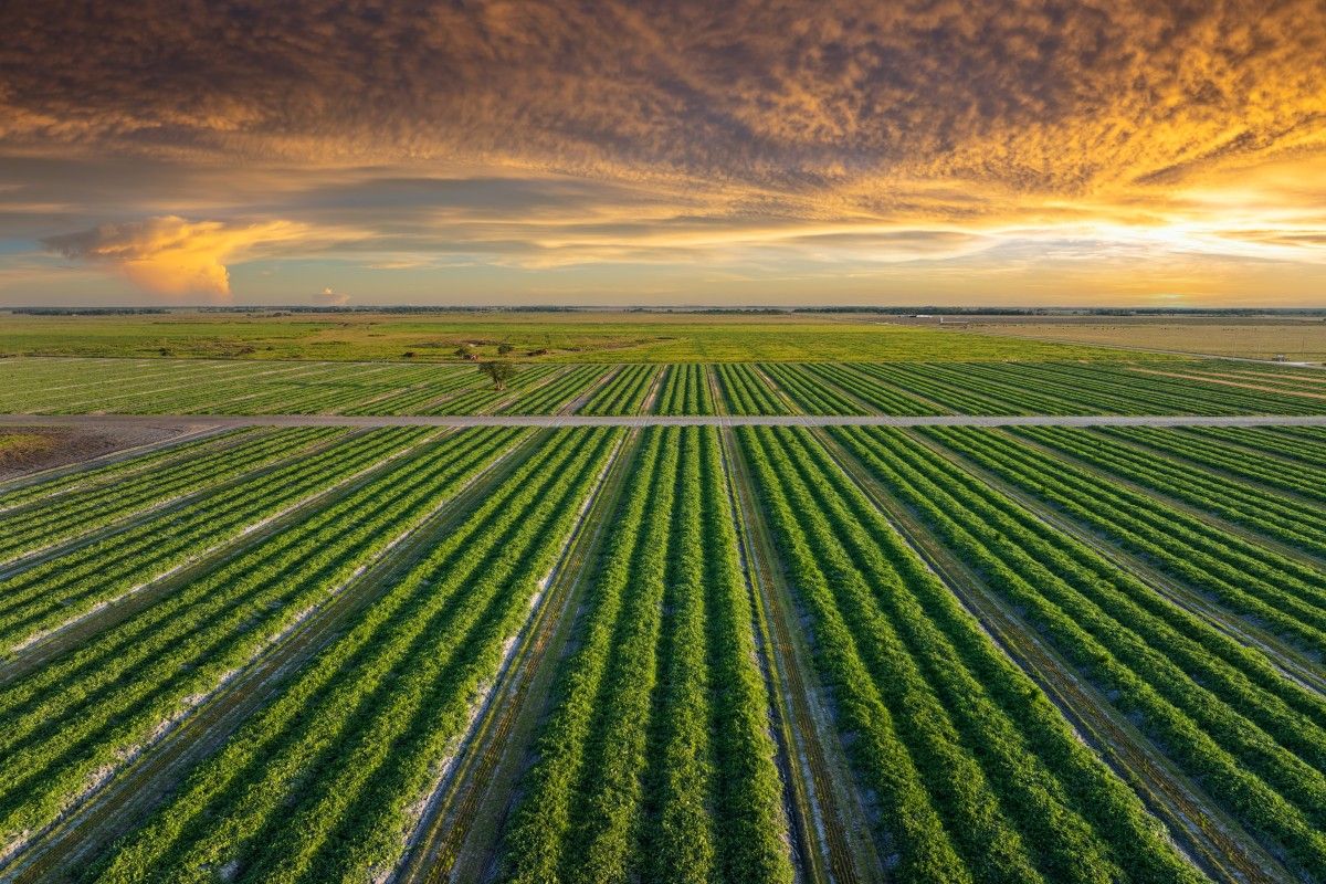 Poprawa stanu gleb o 10 proc. pomogłaby wyżywić dodatkowe 70 mln osób