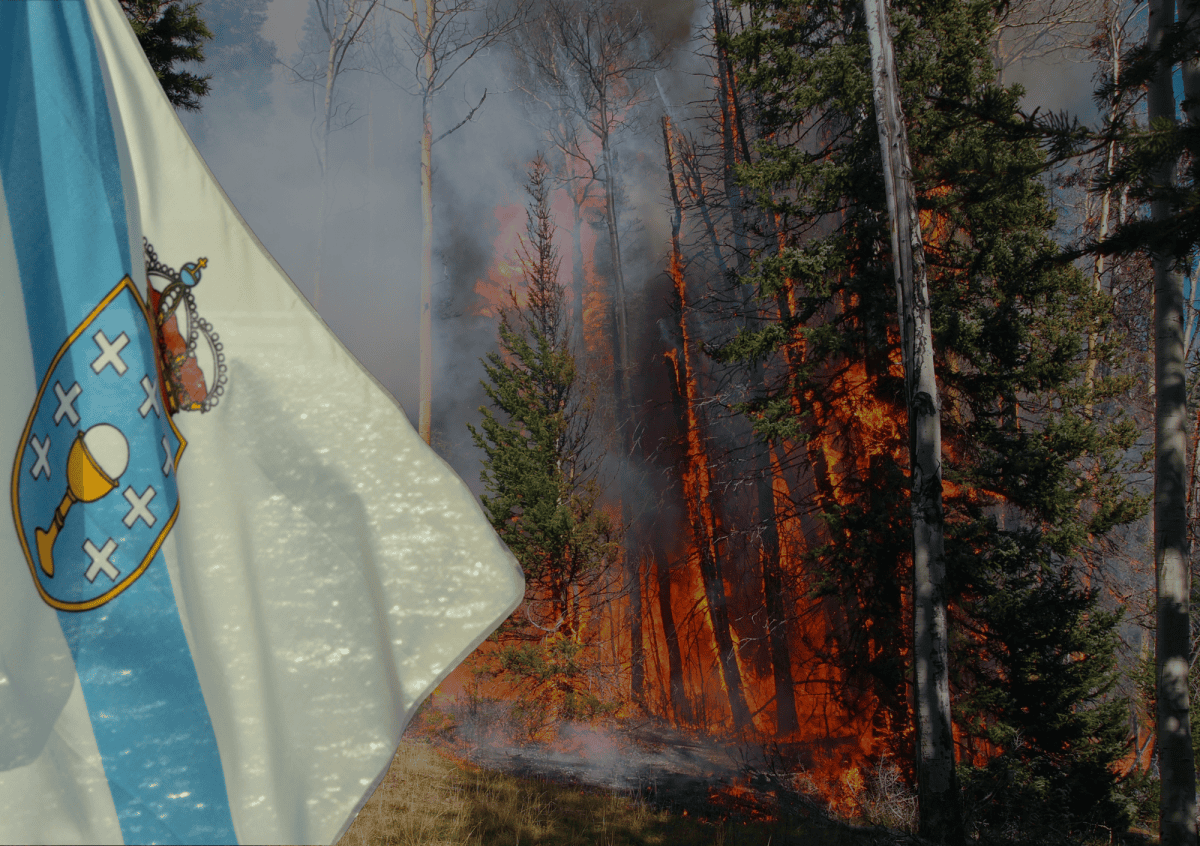 Galicja sięga po AI w walce z pożarami lasów