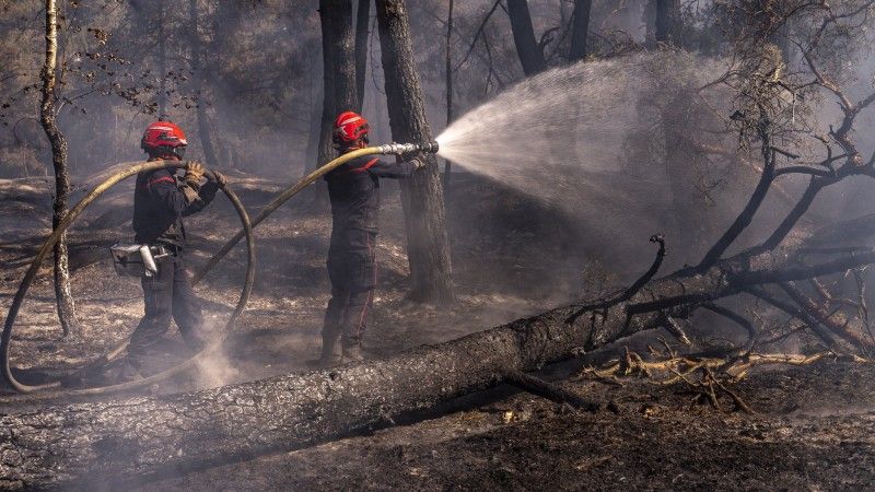 Aftermath of the wildfire in France