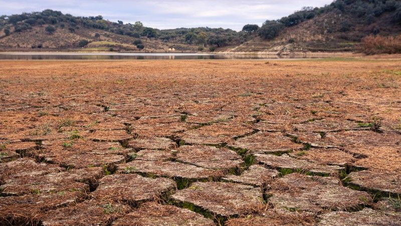 climate-change-land-with-dry-and-cracked-ground-in-2026-03-16-02-10-06-utc