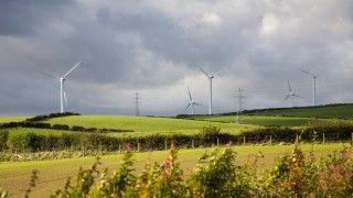 A serene view of several wind turbines standing tall in green, rolling hills underneath a cloudy sky. Electrical towers and lines connect the turbines, and small purple flowers bloom in the foreground.