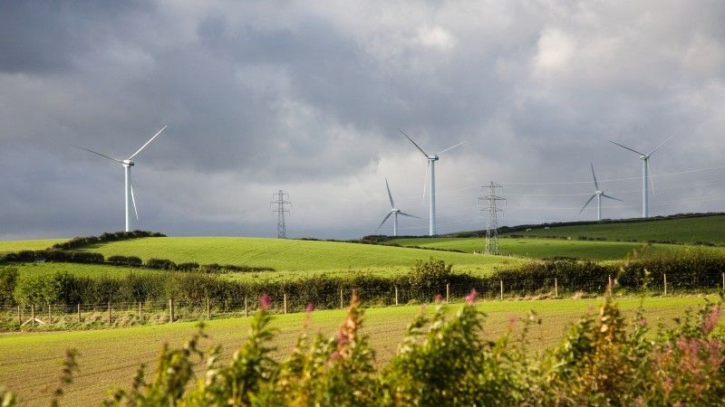 A serene view of several wind turbines standing tall in green, rolling hills underneath a cloudy sky. Electrical towers and lines connect the turbines, and small purple flowers bloom in the foreground.