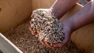 Pellet